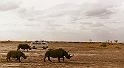 06_On Safari2_Kenya-Sept1981